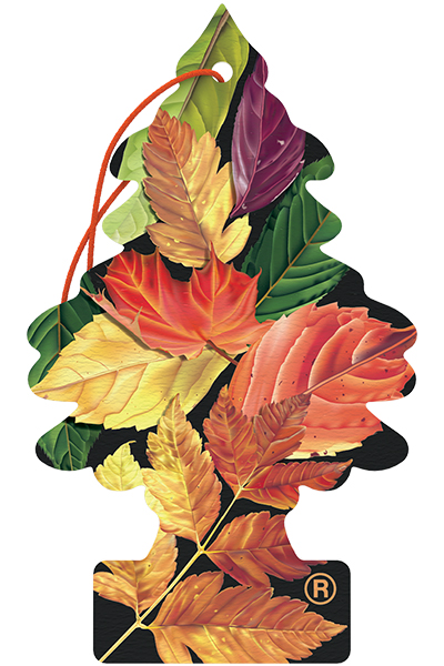 Crisp Autumn Air