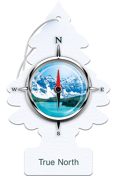 True North